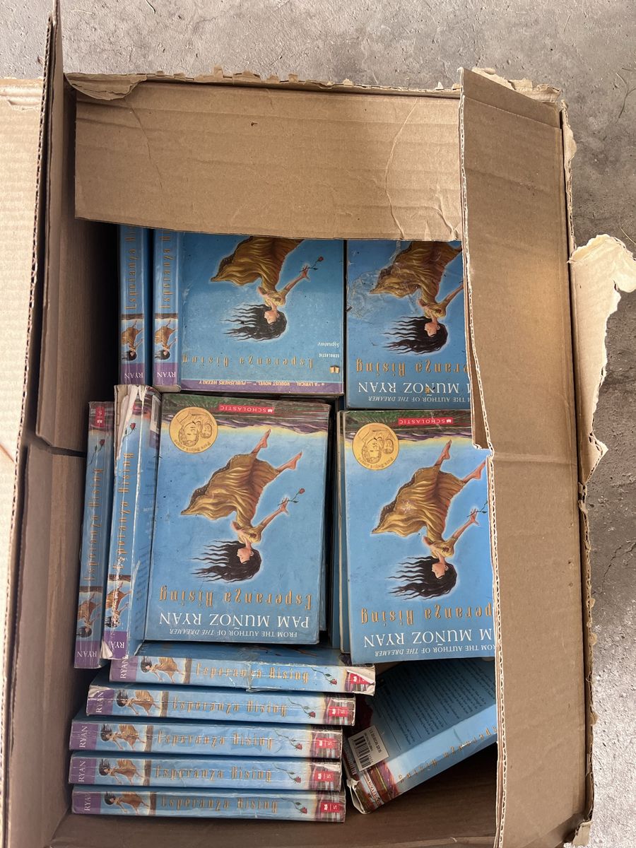 Esperanza Rising by Pam Muñoz Ryan (Bulk Lot of 30 Used Scholastic Books)