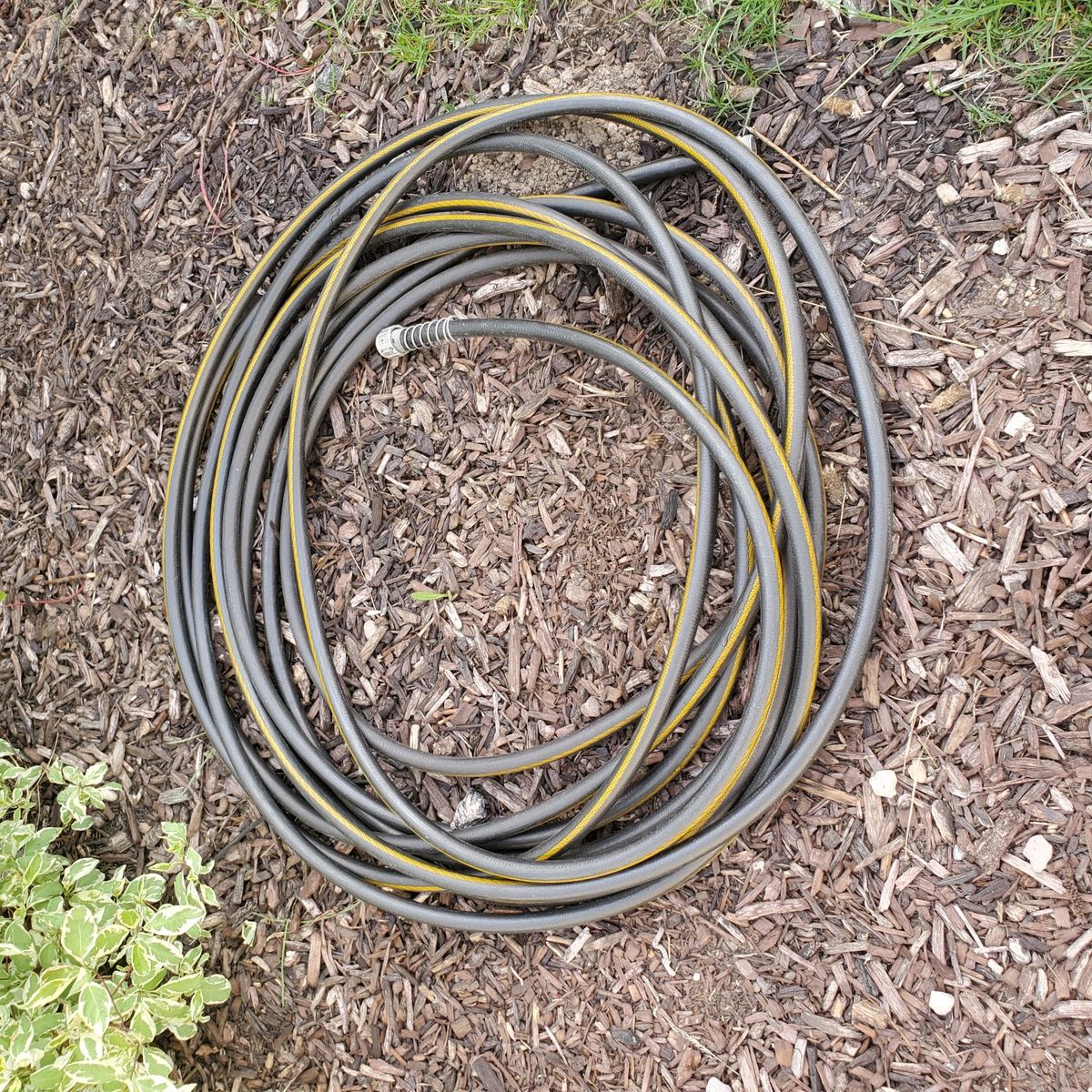 Heavy Duty Hose - 50 ft