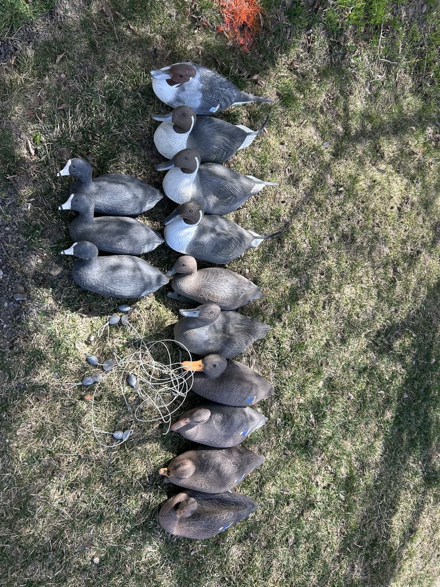 13 Duck Decoys Weighted Line Mesh Bag Set