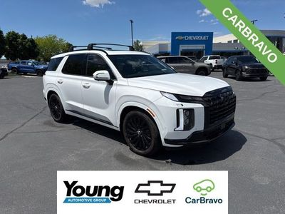 2025 Hyundai Palisade Calligraphy Night Edition