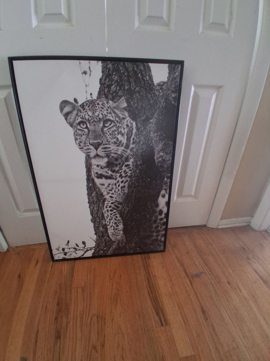 cheetah canvas