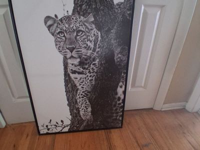 cheetah canvas