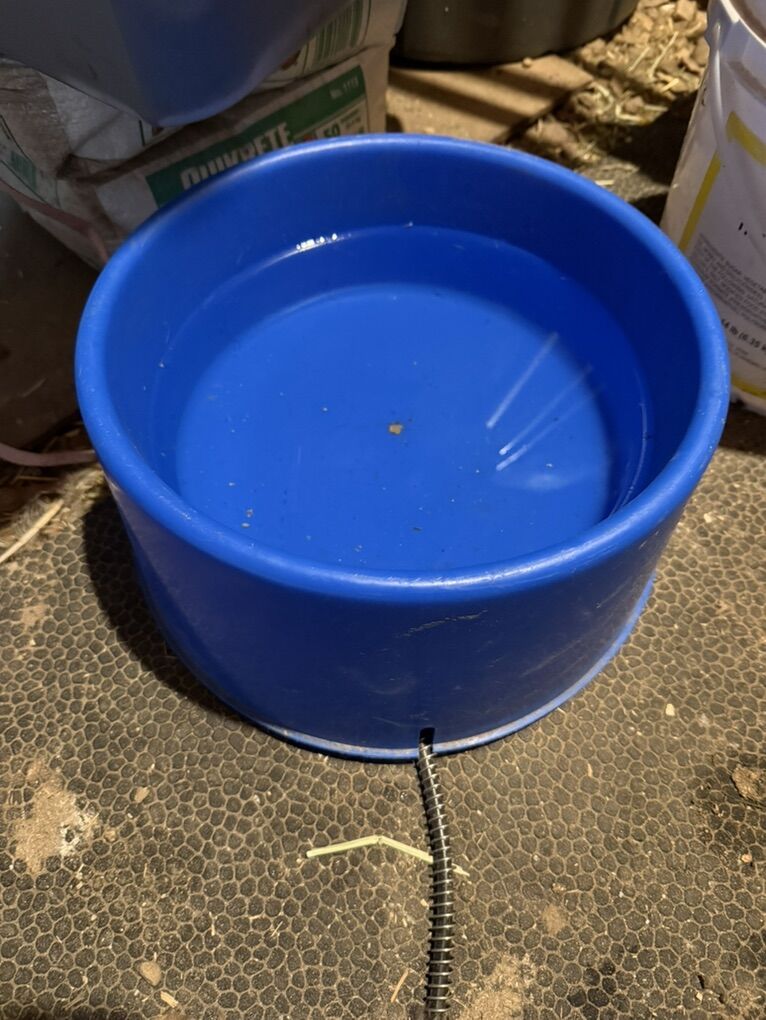 Heated Water Bowl 6 Qt