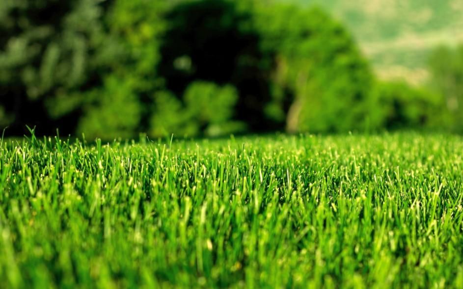 Lawn Mowing in Utah County!