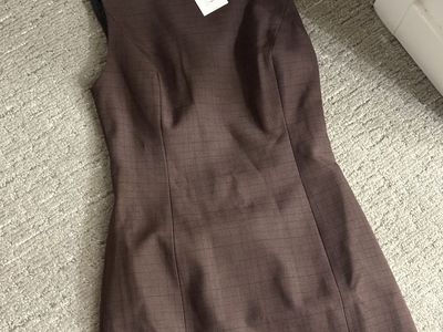 Aritzia Dress