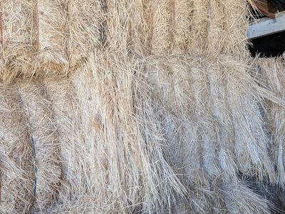 Grass Hay 3x4