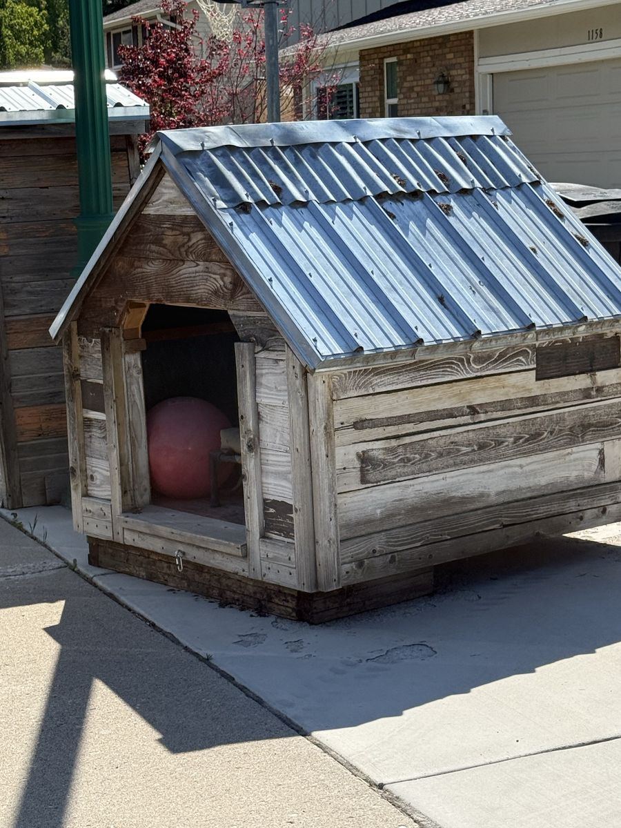 Dog House