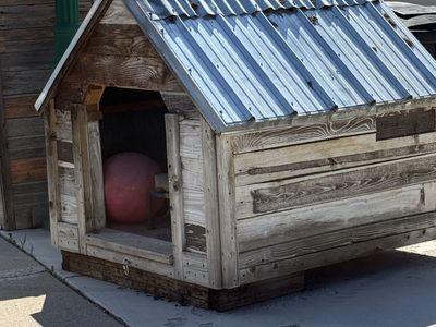 Dog House