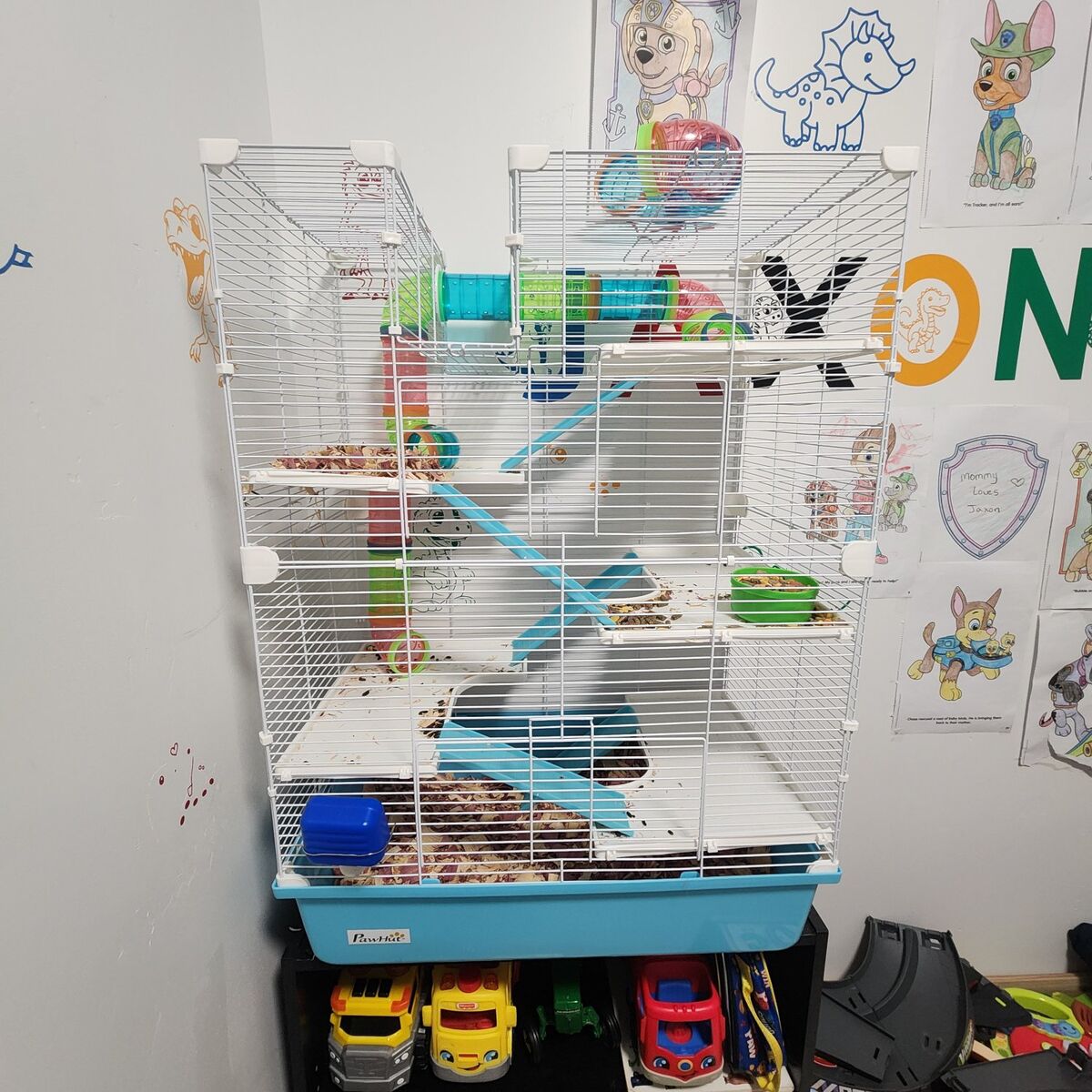 Hamster Cage and Hamster