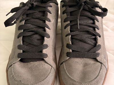 Etnies shoes