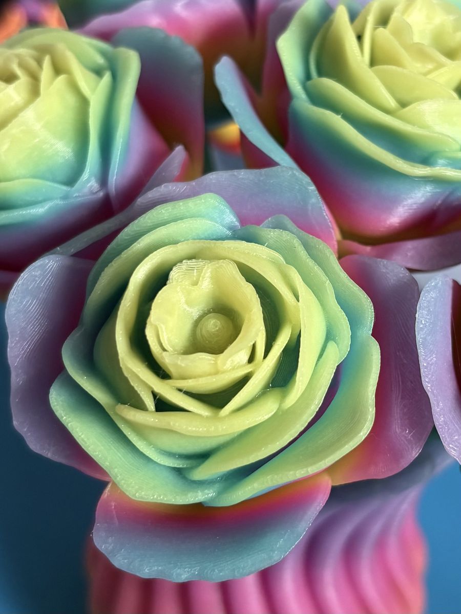 Main image 5