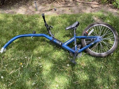 Novara Afterburner Tag-Along Bike / Trailer Cycle