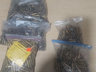 .223/5.56 Brass Cases Most Primed + Lead Bullets