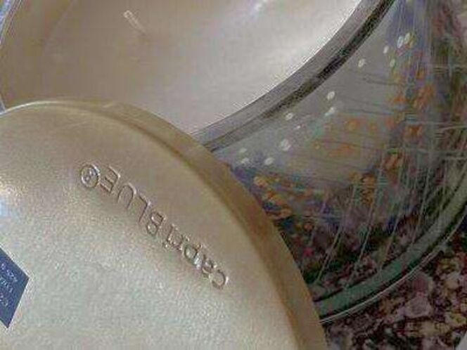 Capri Blue Volcano 15oz New Candle