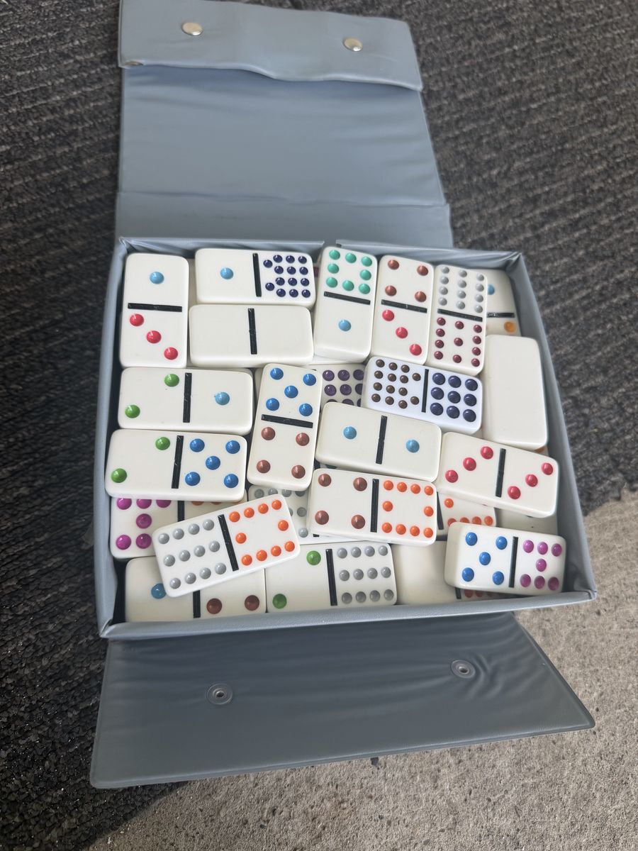 Domino by Carini Double Six Dominoes Game Set with Storage Case