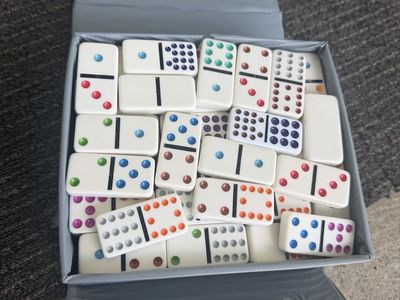 Domino by Carini Double Six Dominoes Game Set with Storage Case