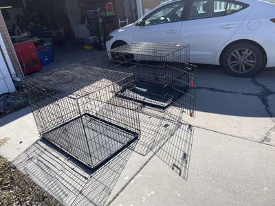 Large dog crates
