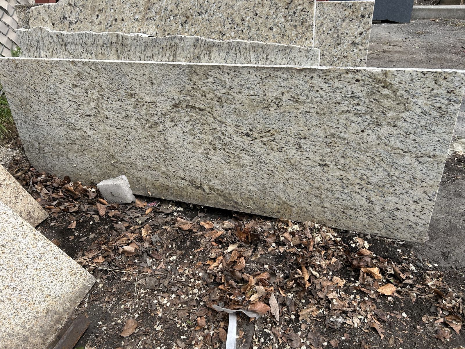 Main image 11