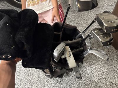 One Shot Golf Club Set with Bag - Driver, Woods, Irons, Putter, Headcovers