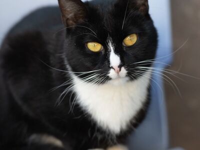 Hello my name is Hera