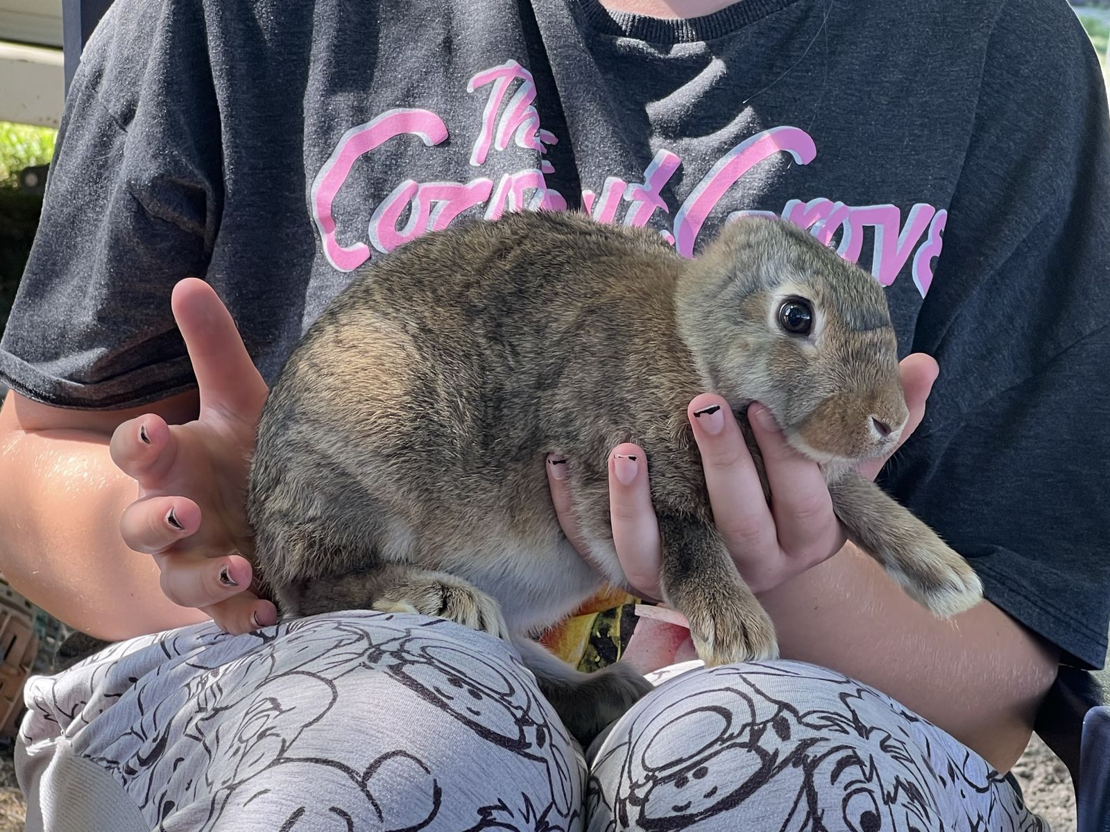 Special deaf bunny with no ears