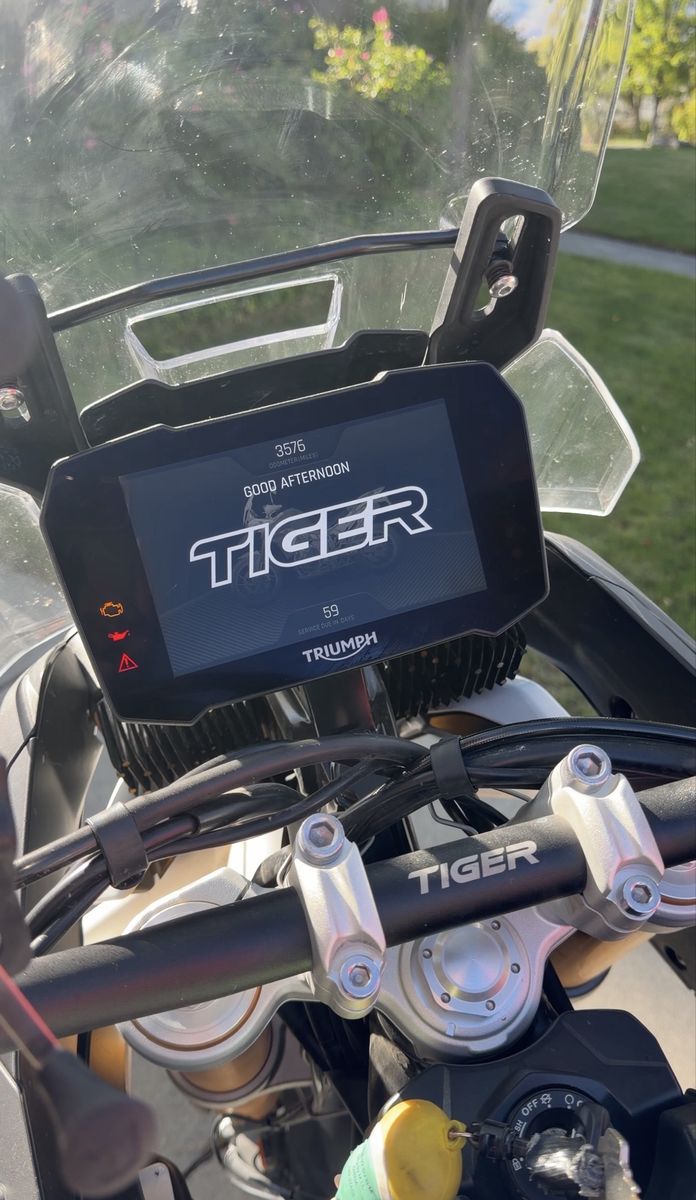 2022 Triumph Tiger Rally Pro