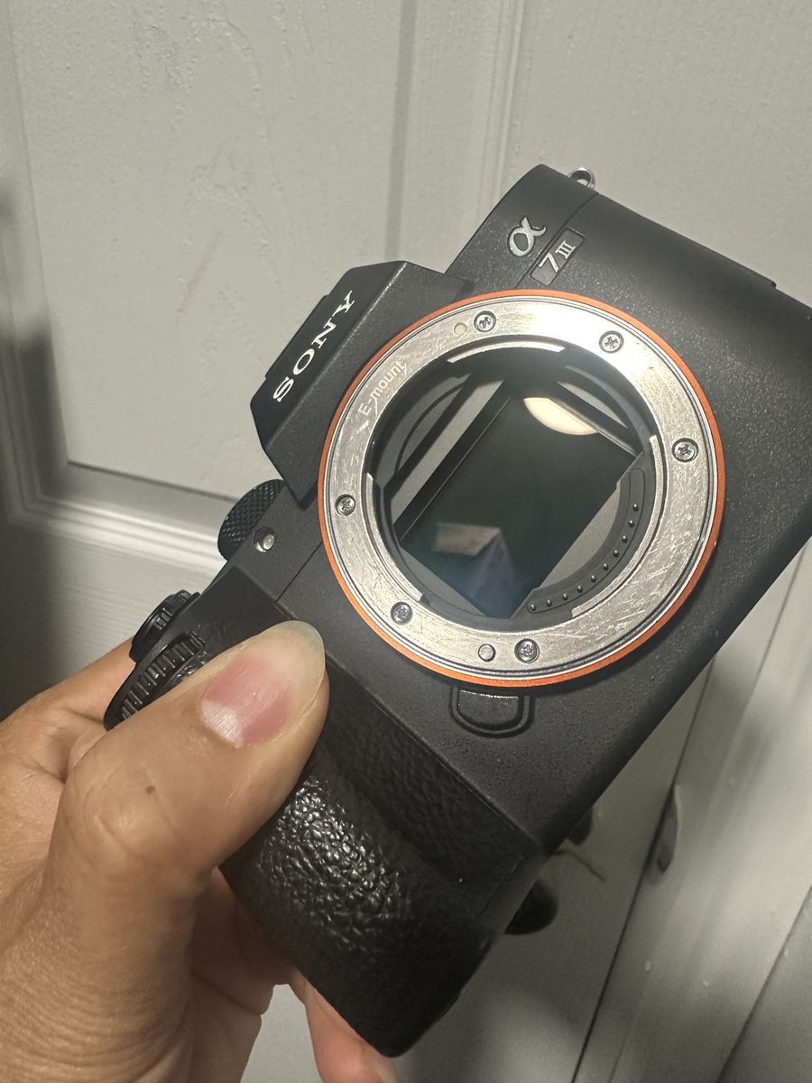 Main image 6