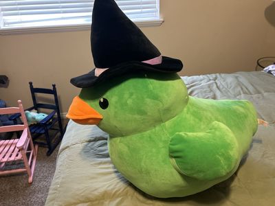 30 Inch Elphaba Duck
