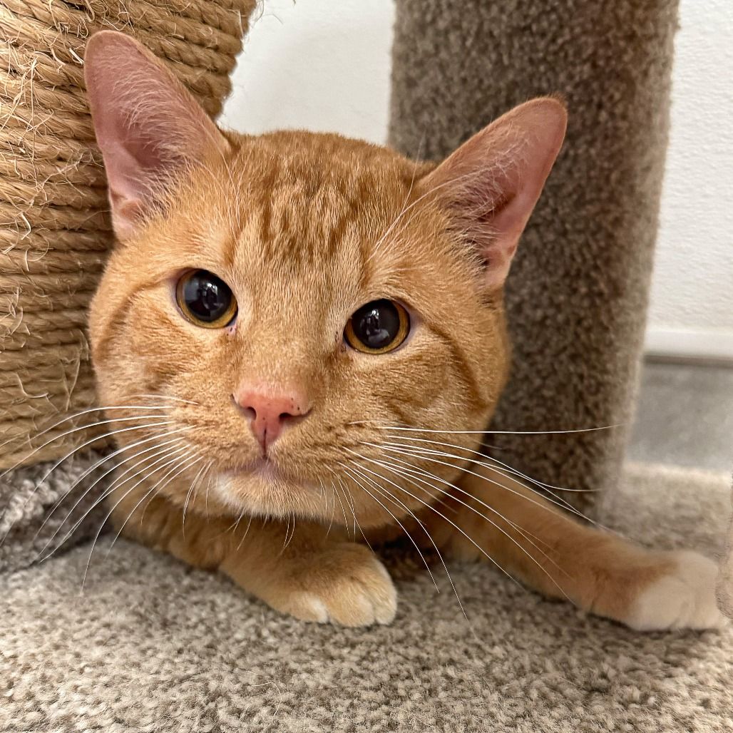 Hello my name is Oliver