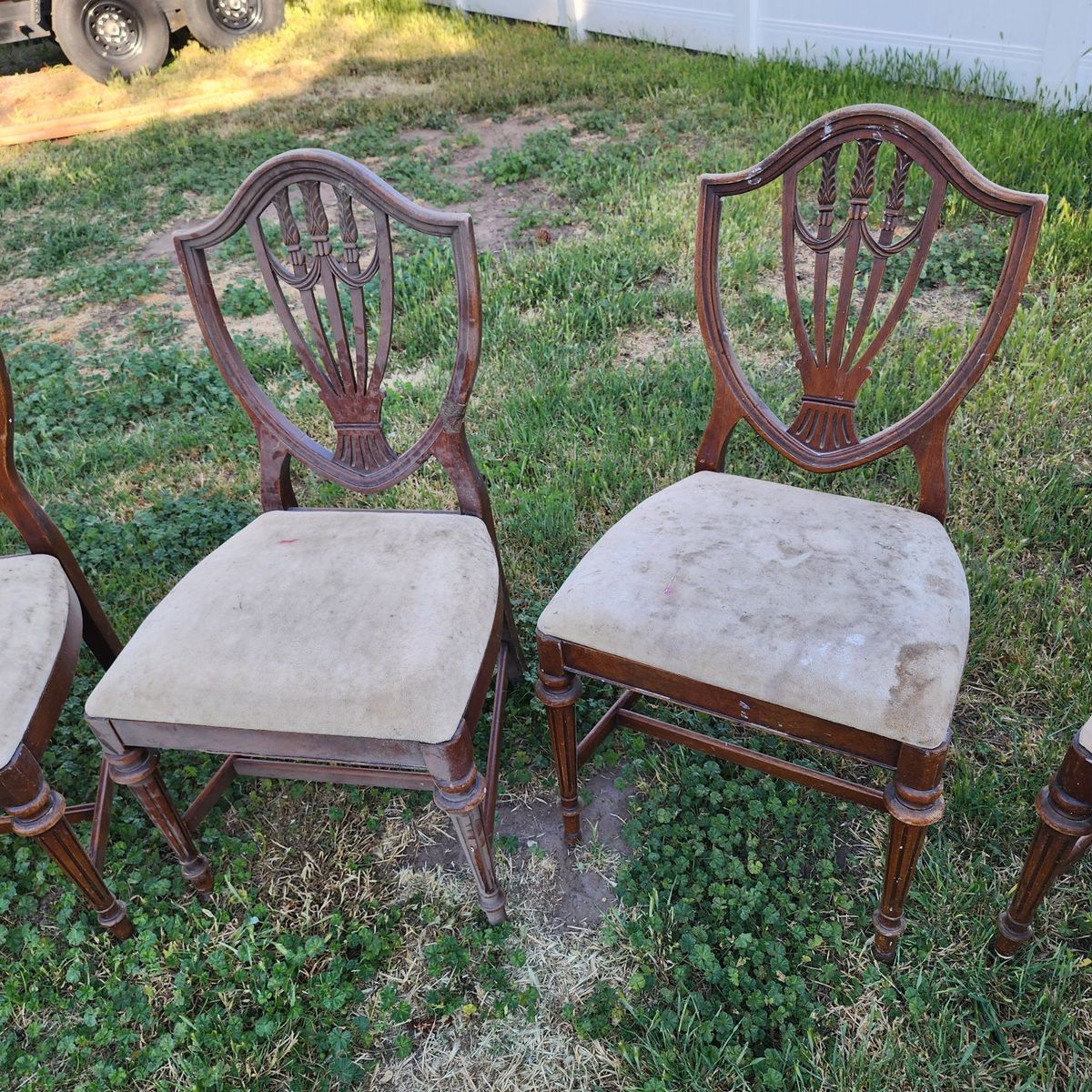 Vintage Chairs