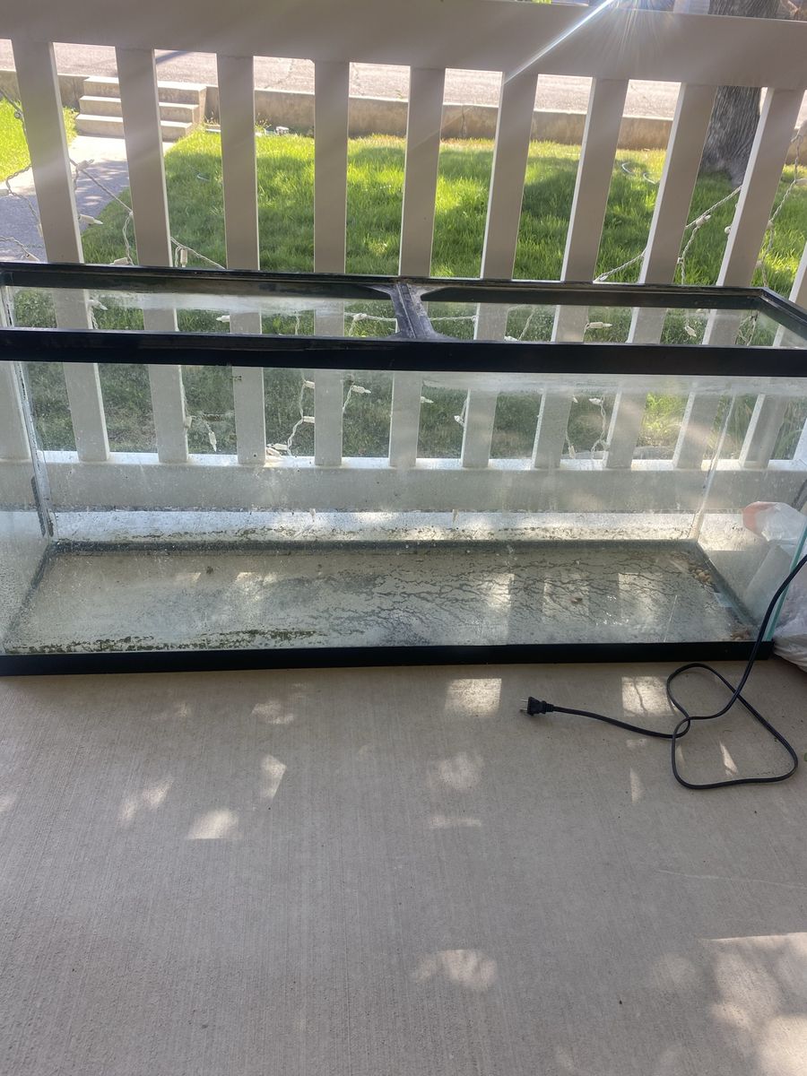 55 Gallon Aquarium with everything 