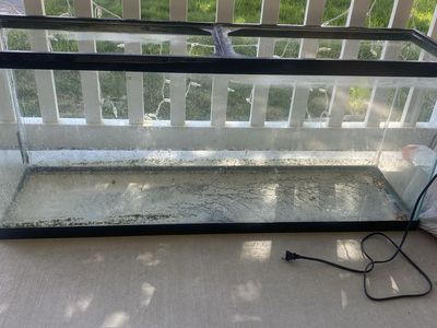 55 Gallon Aquarium with everything