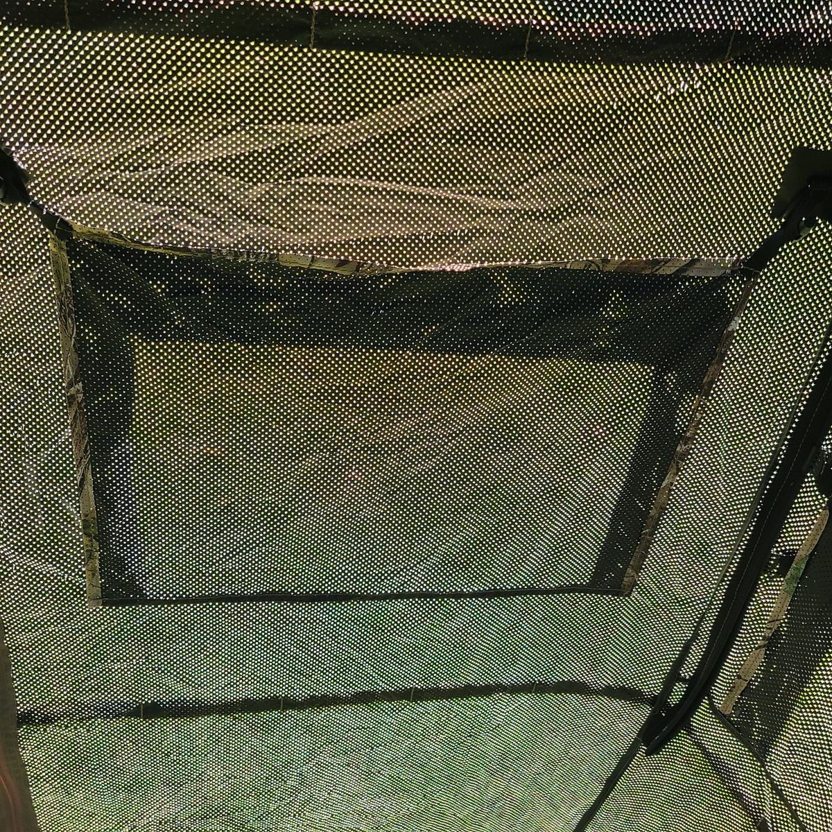 Main image 7