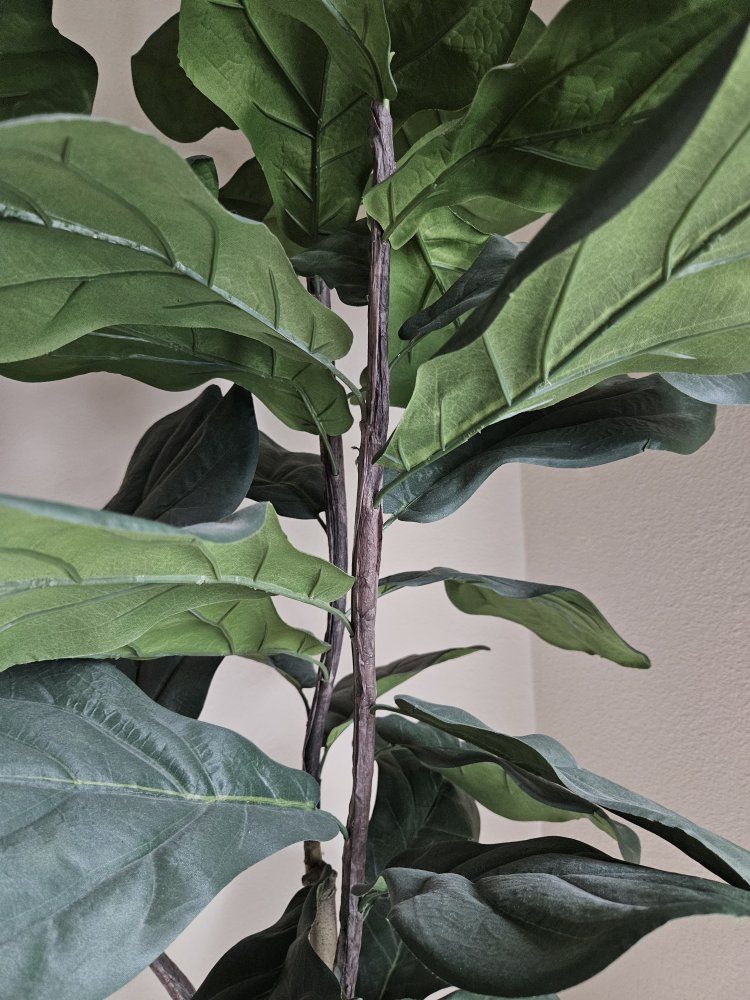 Main image 2