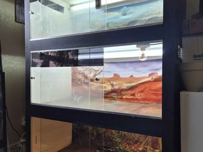 Triple Decker Reptile Enclosures