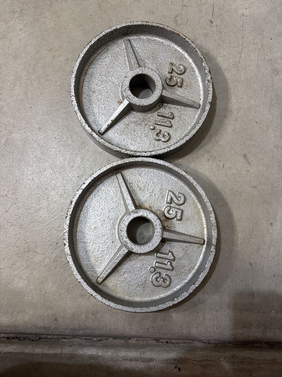 Pair of 25 lb (11.3 kg) Standard Cast Iron Weight Plates