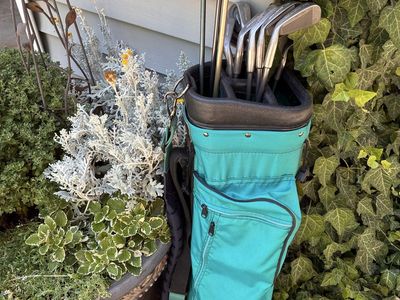 Women’s Callaway Hogan pro select golf clubs for sale