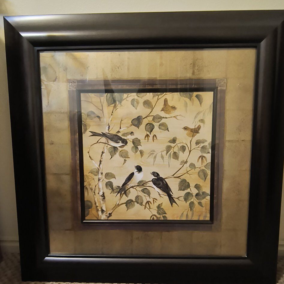 Outdoor Aviary Birds