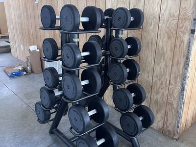 Technogym Dumbbell Rack with 16-34kg Round Dumbbells - Full Set