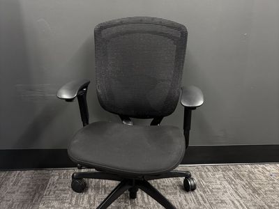 Teknion Nuova Contessa Task Chair- 250 available