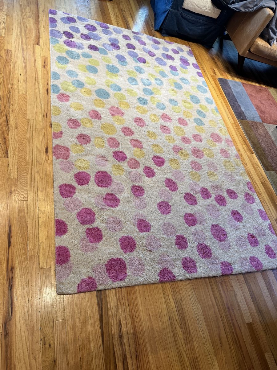 Pottery Barn Kids Rainbow Dot Rug 5x8 ft Multi-Color Wool Area Rug