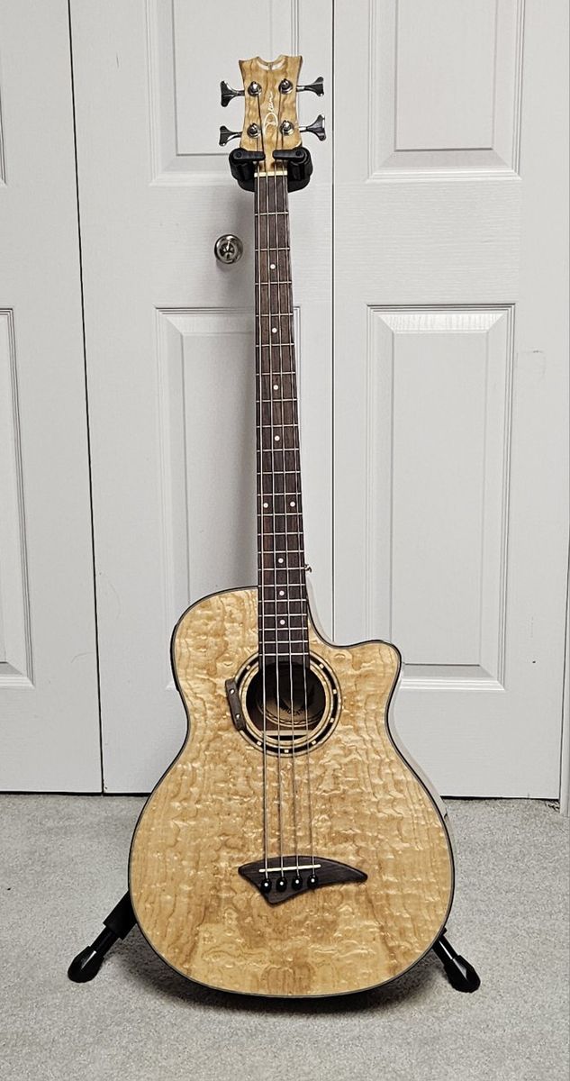 Bass Guitar