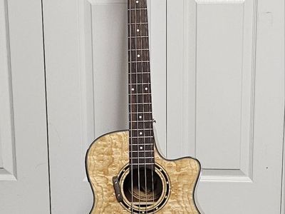 Bass Guitar