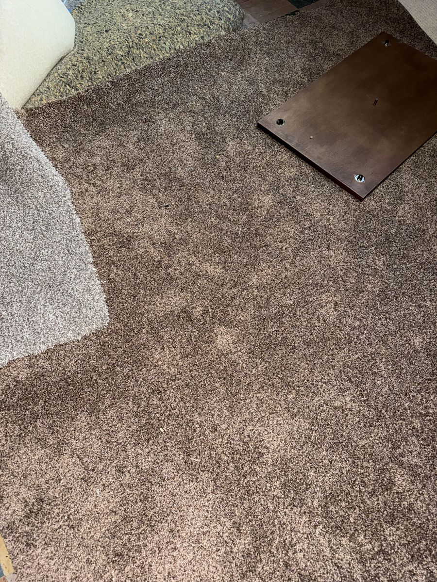Carpet and carpet padding