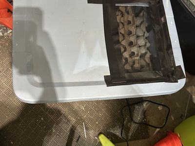 Roach colony