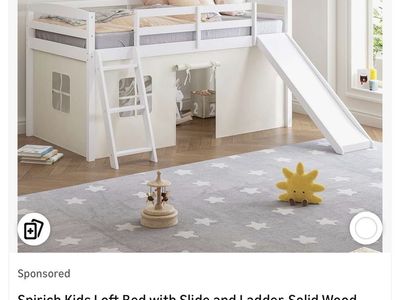 Twin Loft Bed With Slide