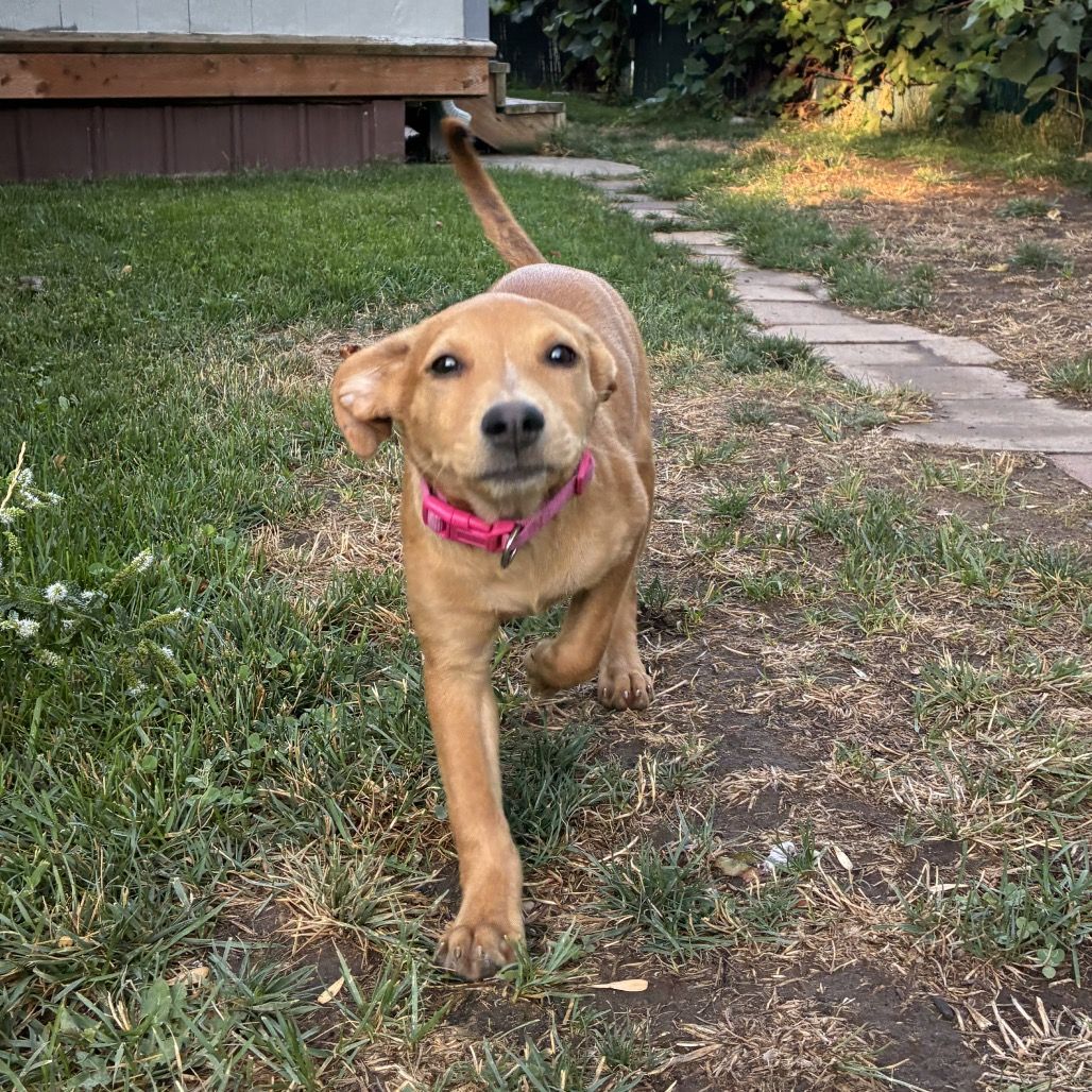 Hello my name is Bonnie