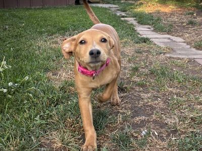 Hello my name is Bonnie