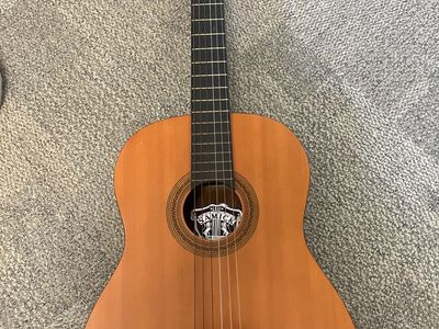 Samick Classical Guitar And Case