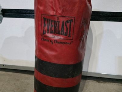 Everlast Choice of Champions Punching Bag
